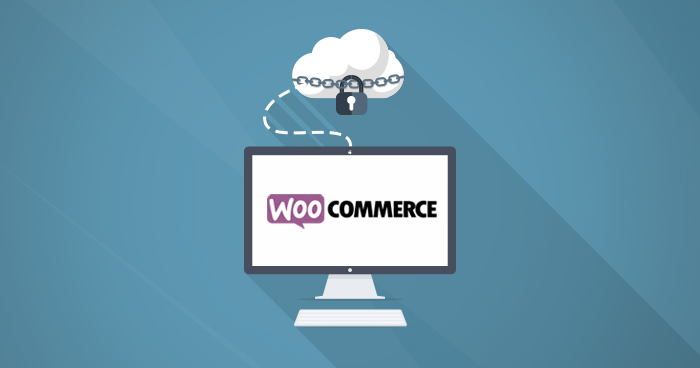 Back Up WooCommerce