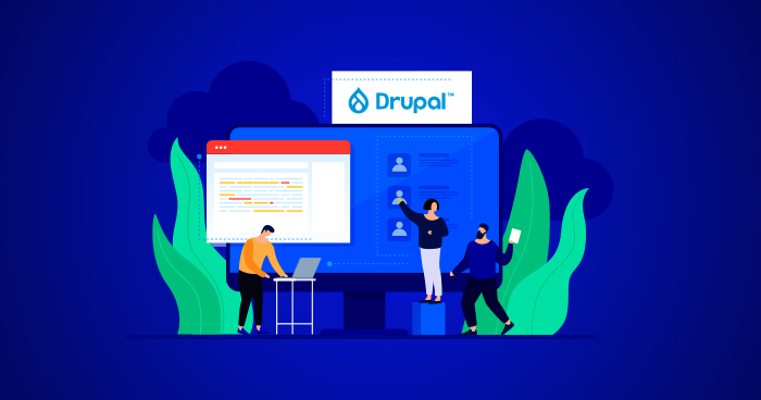 Top Drupal Agencies