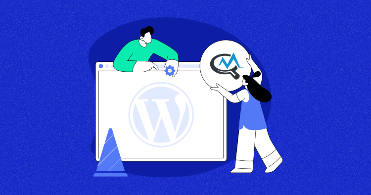 WordPress Query Monitor Plugin