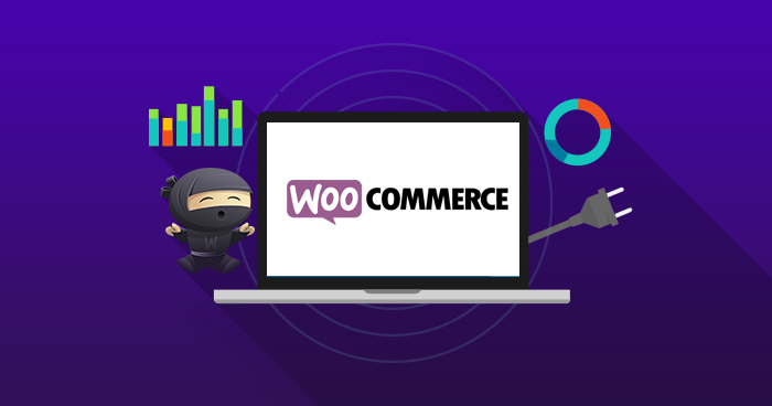 Top WooCommerce SEO Plugins
