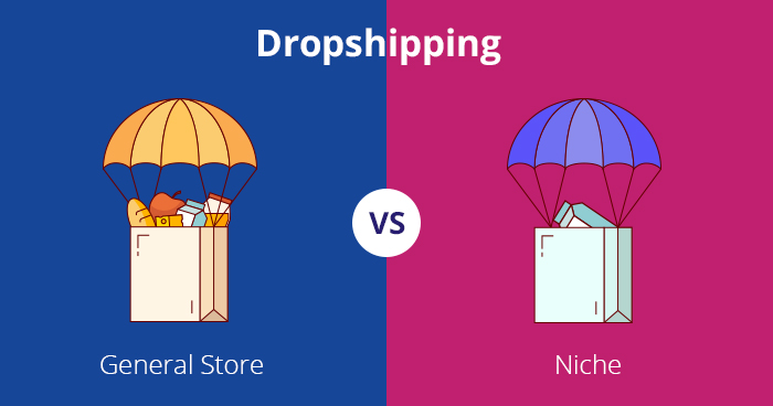 Dropshipping niches vs general store