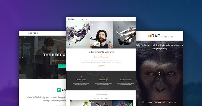 premium wordpress themes