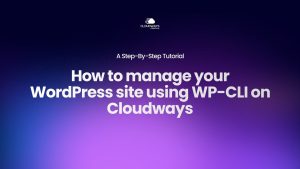 How to Manage Your WordPress Website Using WP-CLI on Cloudways